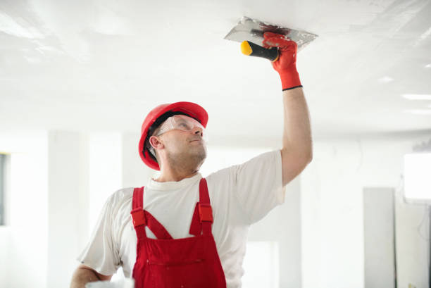 Drywall & Painting Services